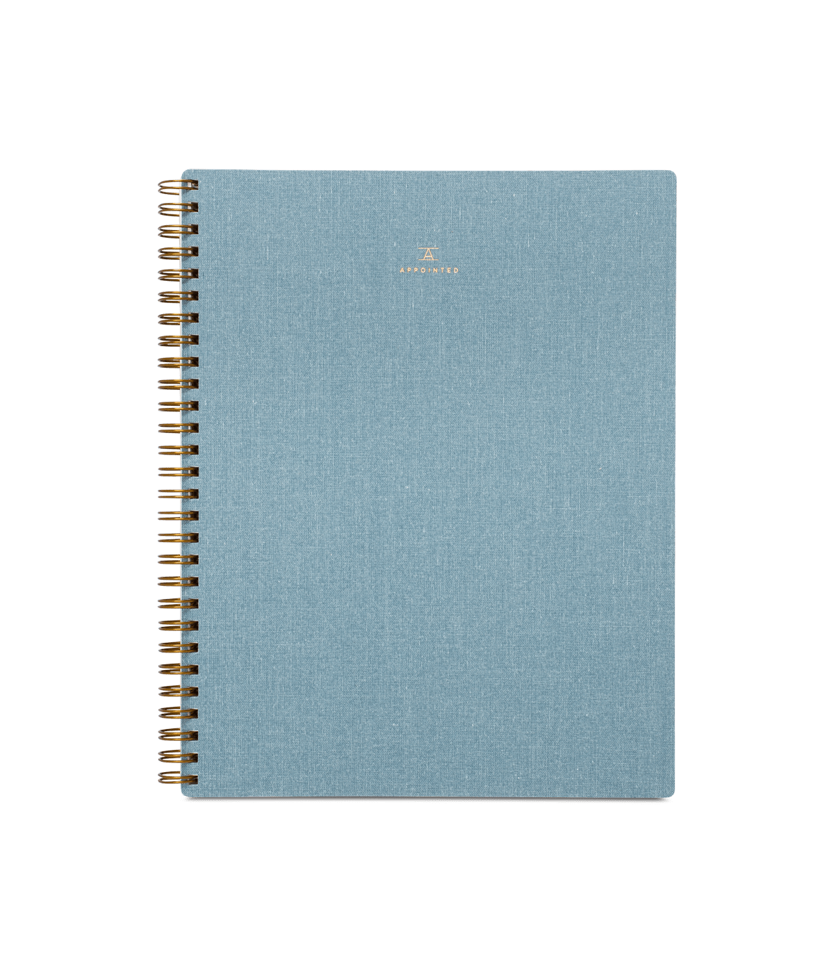 Study — bianca + jean